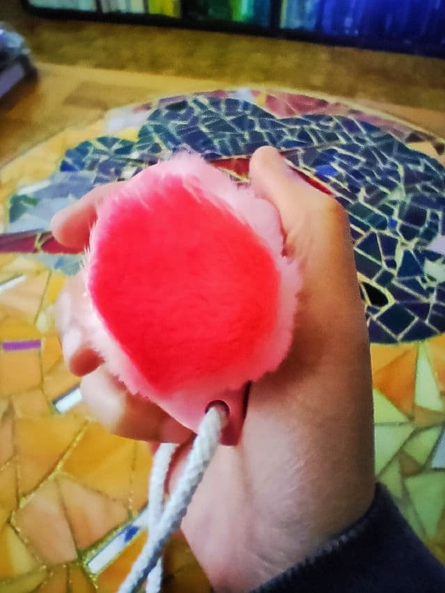 Coringco Peach Facial Clear Brush review photo by FrenchyPeach19