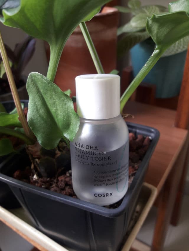 COSRX Refresh AHA BHA Vitamin C Daily Toner review photo by Gabbyskincare