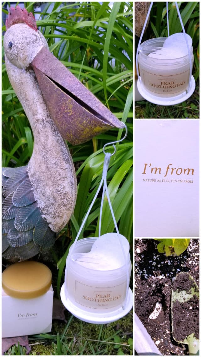 I'M FROM Pear Soothing Pad review photo by Gemtange