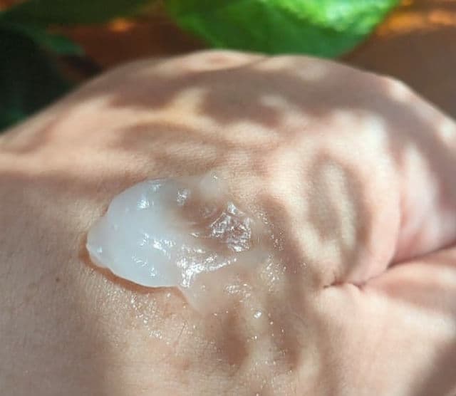Mamonde Floral Hydro Cream review photo by Lisasuh