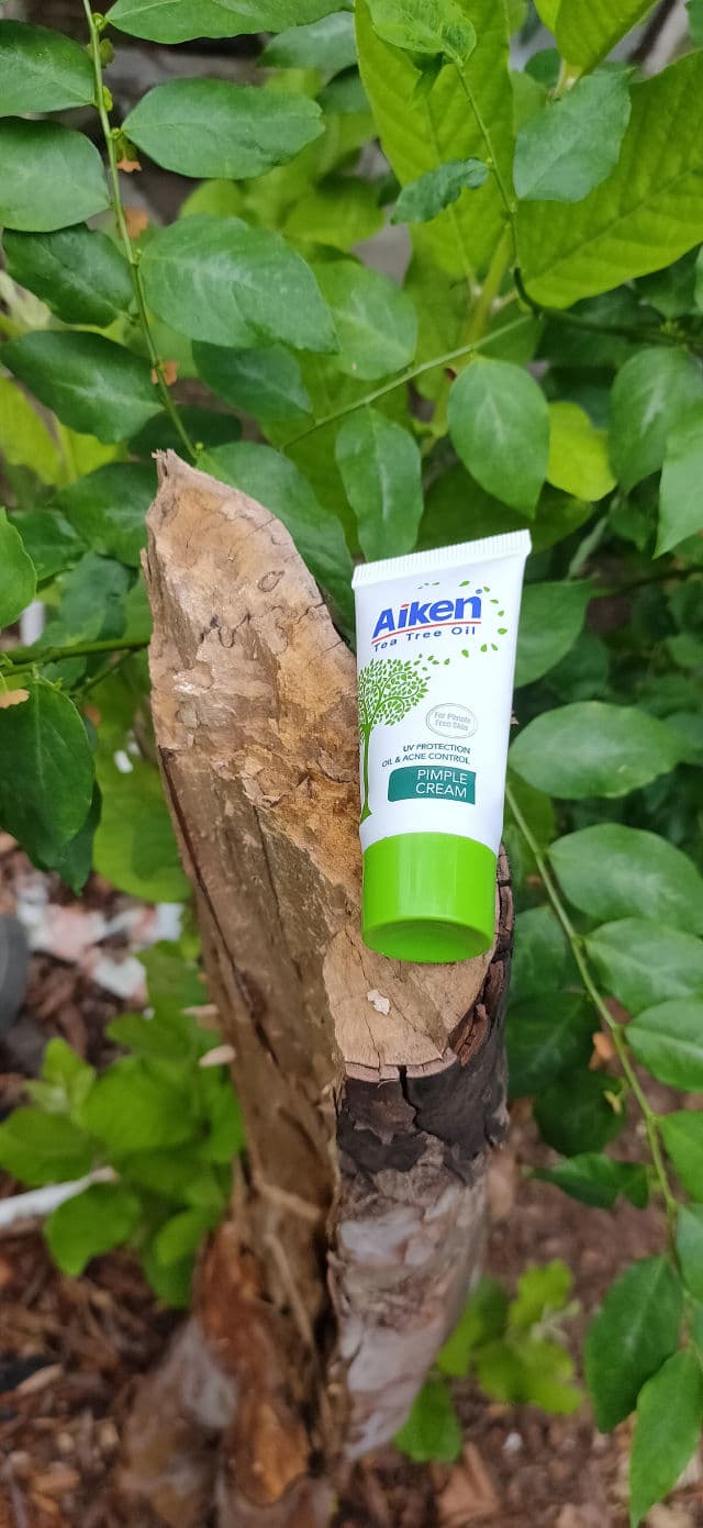 Aiken Pimple Cream review photo by Miss_LunaYee