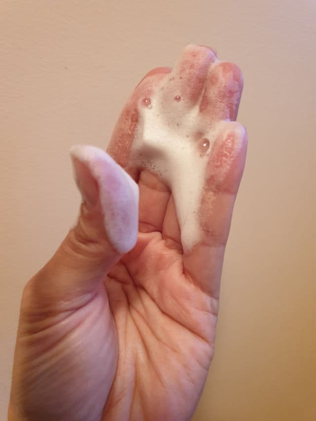 NEOGEN Dermalogy Real Fresh Foam Cleanser Cereal review photo by MsK