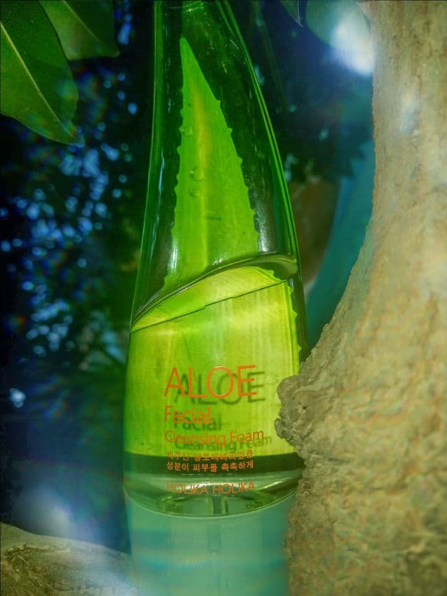 HOLIKA HOLIKA Aloe Facial Cleansing Foam review photo by Muniba