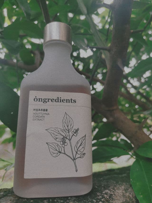 Ongredients Houttuynia Cordata Extract review photo by Trace