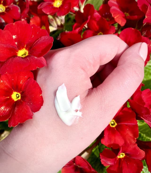 Rodial Dragon's Blood Night Cream review photo by aimforhealthyskin