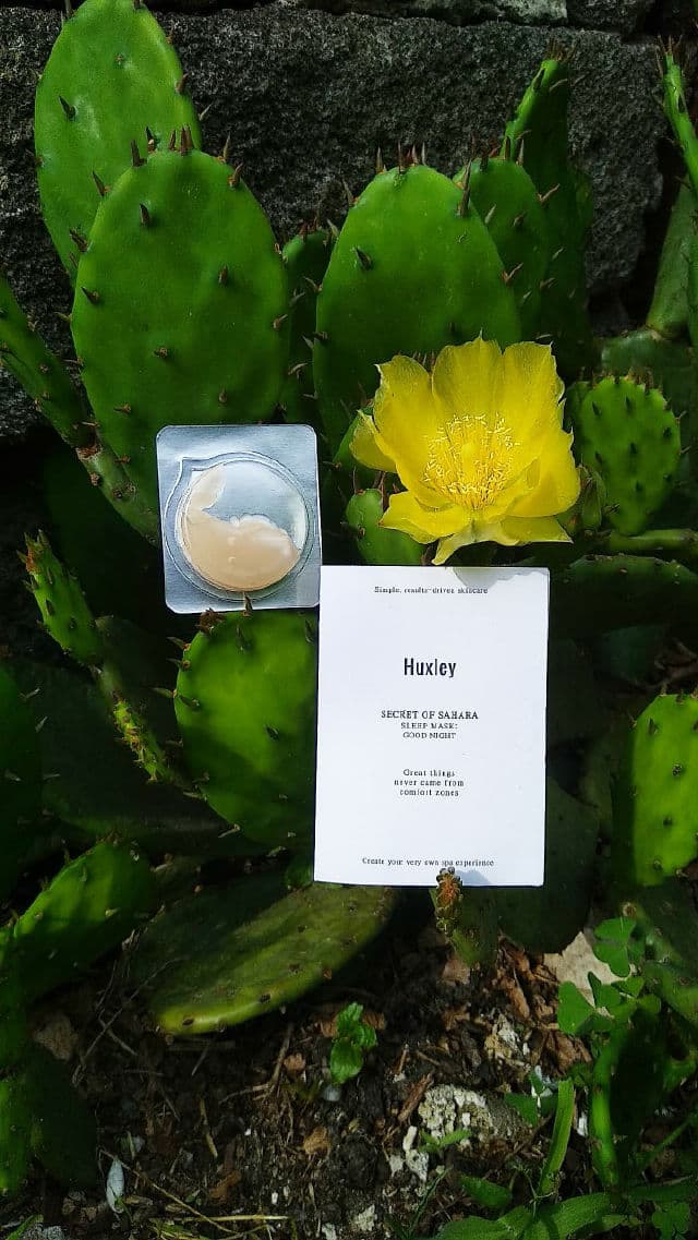 Huxley Secret of Sahara Sleep Mask Good Night review photo by alexandraskrupnikova