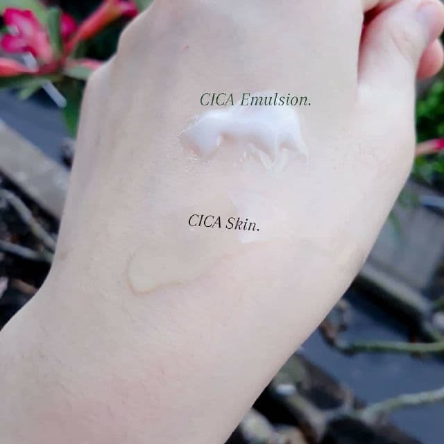 VT COSMETICS Cica Emulsion review photo by alice456