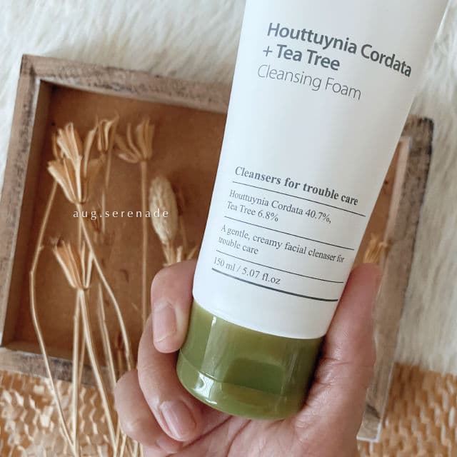 Mary&May Houttuynia Cordata + Tea Tree Cleansing Foam review photo by august.serenade