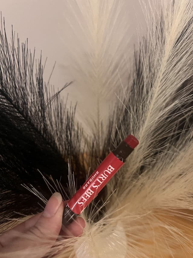 Burt's Bees Lip Shimmer review photo by iniuka