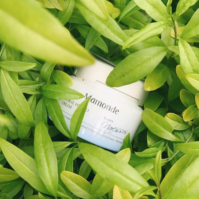 Mamonde Floral Hydro Cream review photo by beautyblogjulia