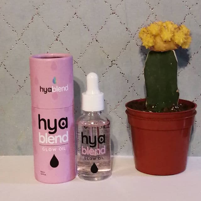 DEW of the GODS Hyablend Glow Oil Serum review photo by beautywithdanni