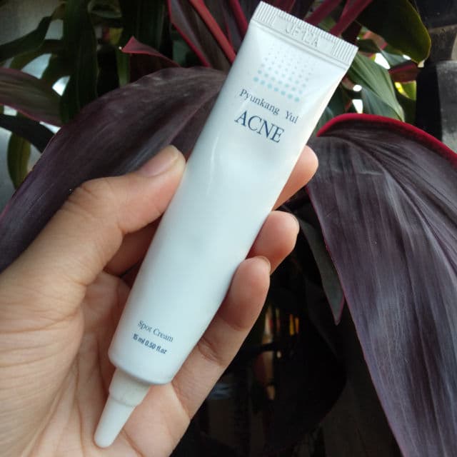 Pyunkang Yul ACNE Spot Cream review photo by clnbnz