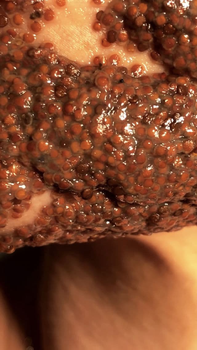 Pestlo The Seed Real Collagen Mask review photo by cuquix