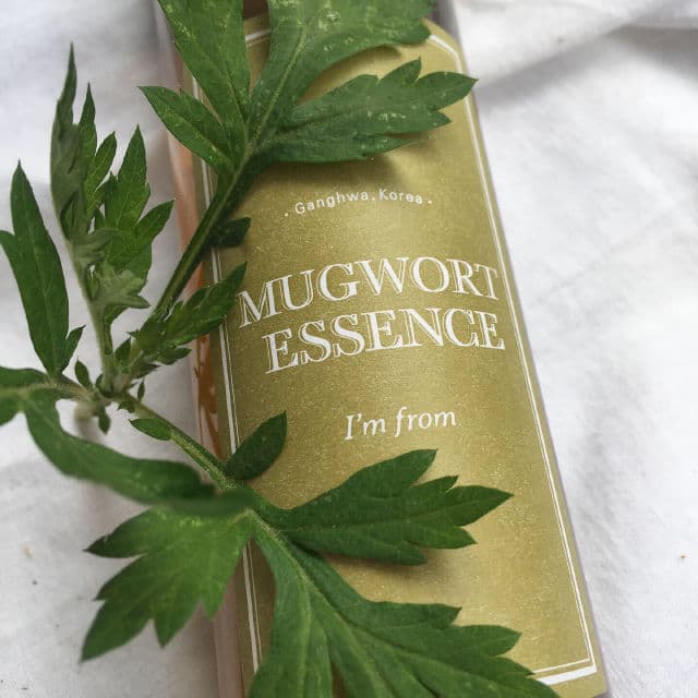 Mugwort Essence product review