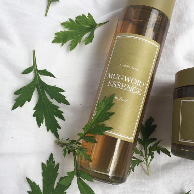 Mugwort Essence product review