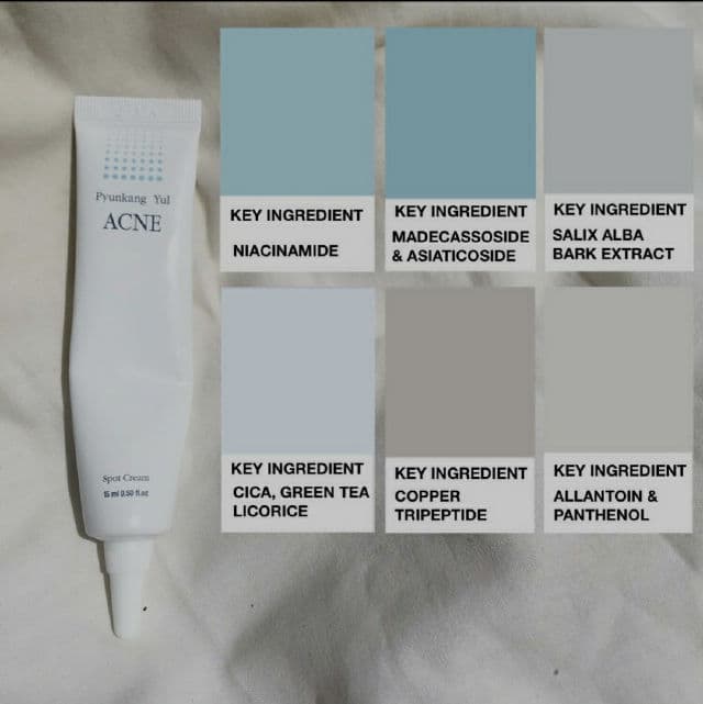 Pyunkang Yul ACNE Spot Cream review photo by skincarebylyner