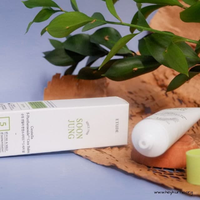 ETUDE SoonJung Centella 5-Panthensoside Cica Balm review photo by kurniaashari