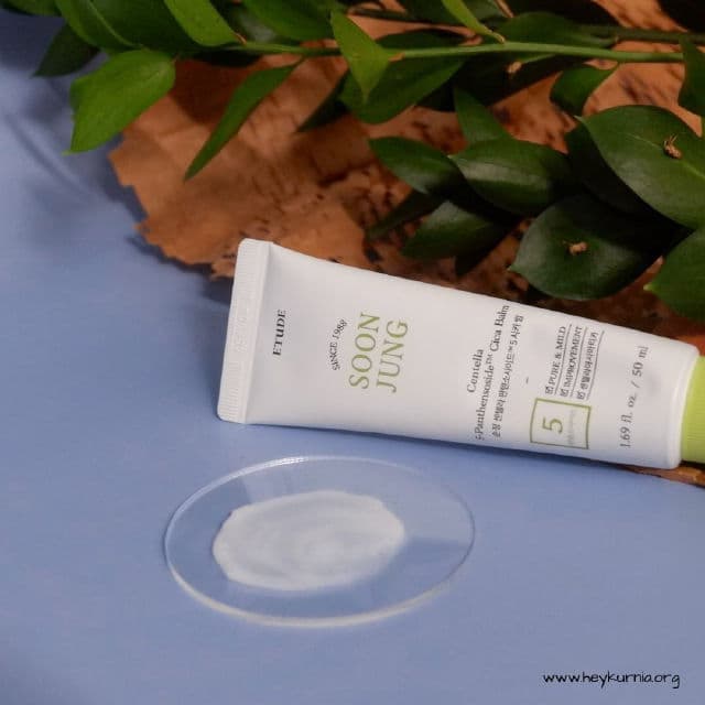 ETUDE SoonJung Centella 5-Panthensoside Cica Balm review photo by kurniaashari