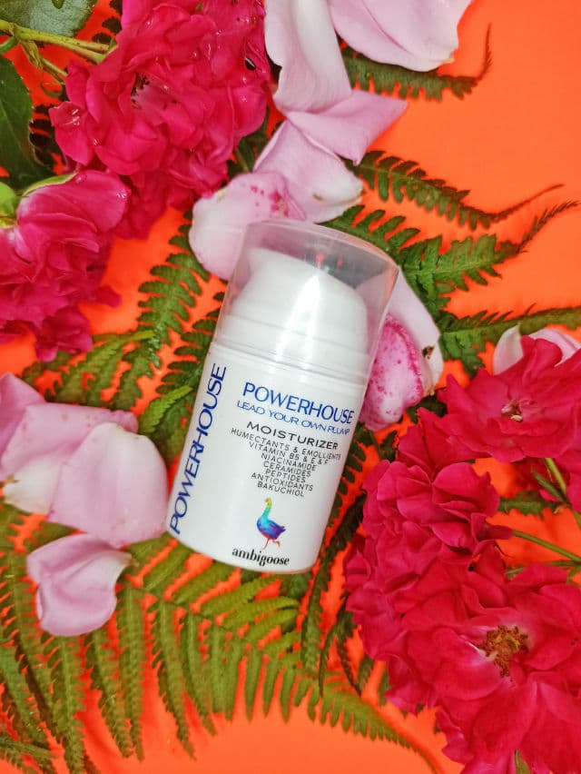 Ambigoose Powerhouse Moisturizer review photo by marriedtomyskincarer