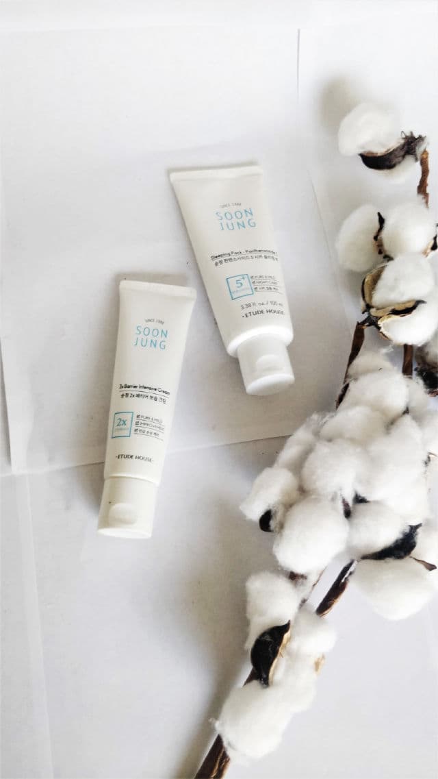 ETUDE SoonJung 5-Panthensoside Sleeping Pack review photo by mskinmskin