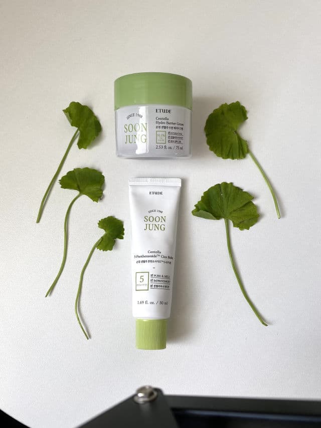 ETUDE SoonJung Centella 5-Panthensoside Cica Balm review photo by mvisml
