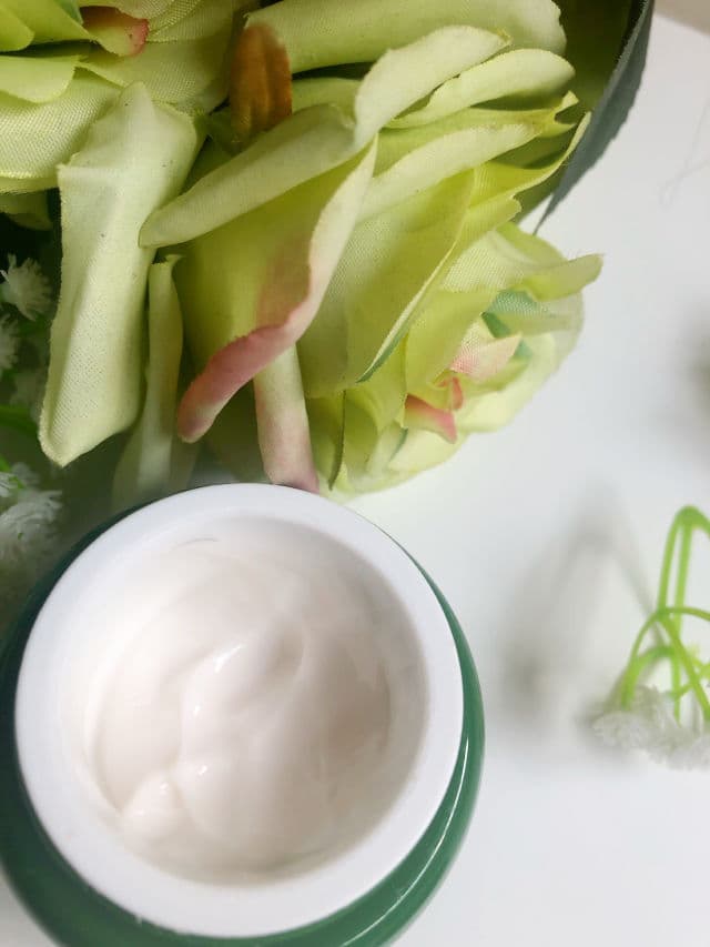 INNISFREE Green Tea Seed Eye Cream review photo by pauline