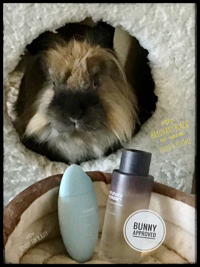 HaruHaru WONDER Black Rice Hyaluronic Essence review photo by remedyforbeauty