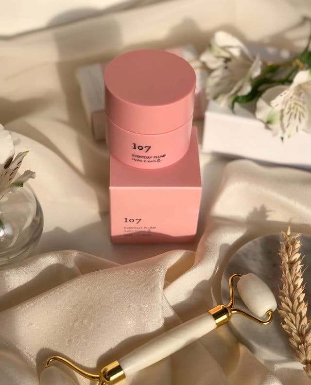 107 Everyday Plump Hydro Cream review photo by rominaksusha