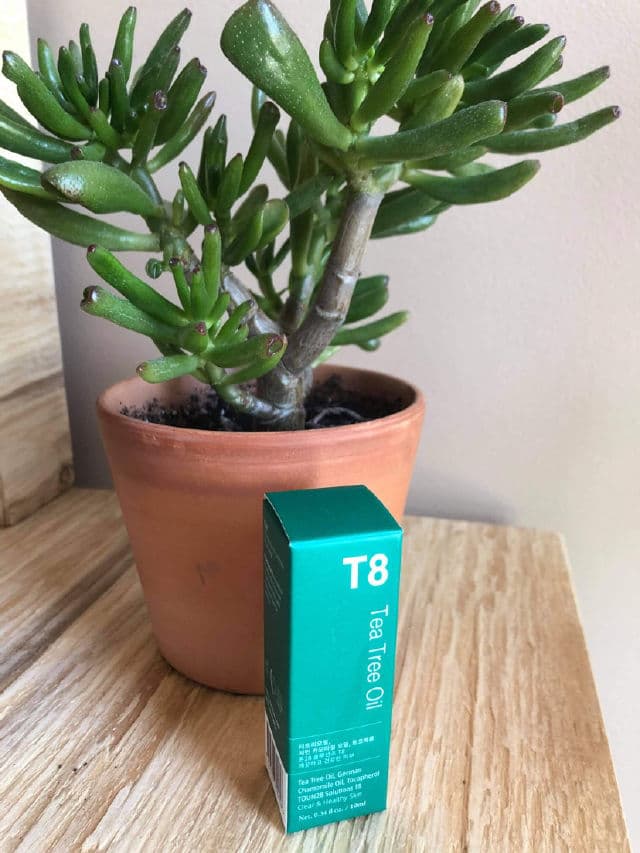 Toun28 T8 Tea Tree Oil review photo by skasiantusiast