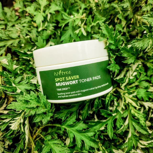 ISNTREE Spot Saver Mugwort Toner Pads review photo by solarKAI