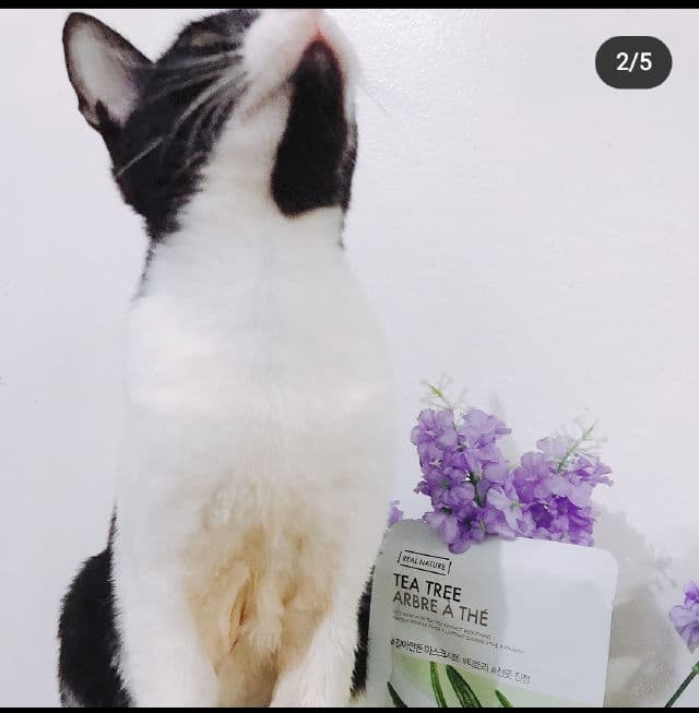 THE FACE SHOP Real Nature Face Mask Tea Tree review photo by sparklesandnargles