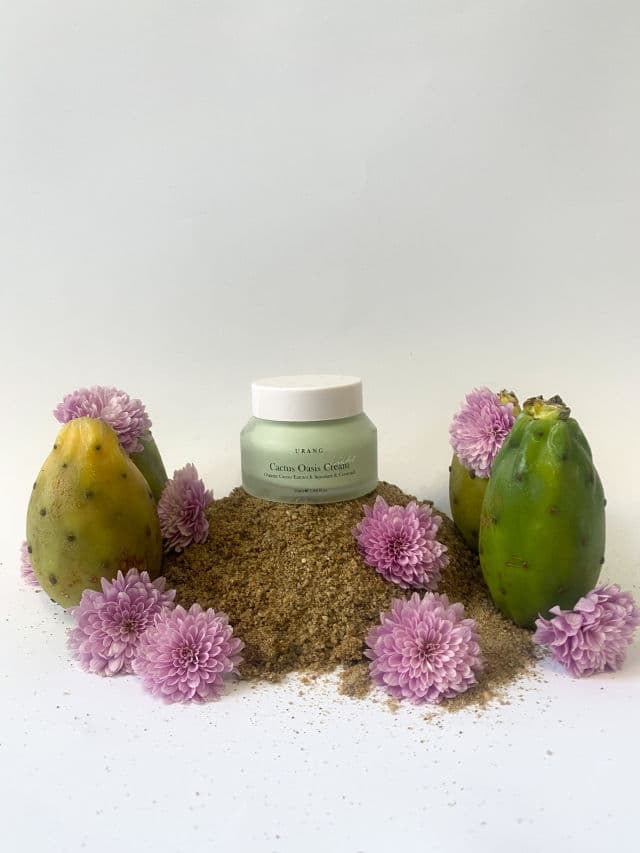 Urang Cactus Oasis Cream review photo by watermelons