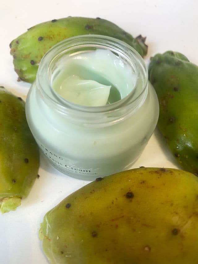 Urang Cactus Oasis Cream review photo by watermelons