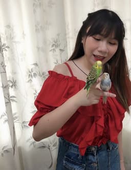 angelkuan