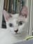 mirmi profile picture