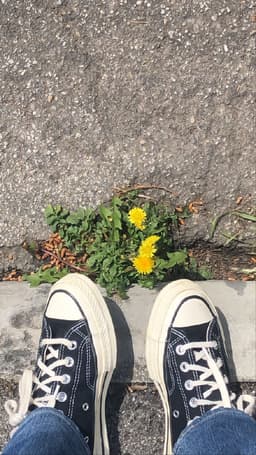 invivibilee