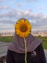 Mayukha profile picture