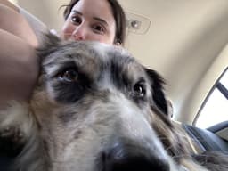 Jennnerdog