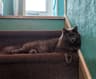 Michelle420 profile picture