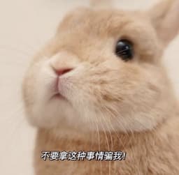 xiexiaoyong