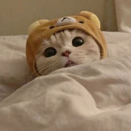 Andysiuuu1