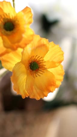 byblume
