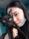 Ureshi profile picture