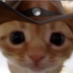 fluffycloud28