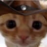 fluffycloud28 profile picture