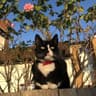 anizia profile picture