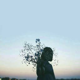 hanalily