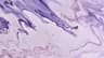 qon2zz profile picture