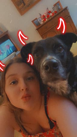 skyepuppy4