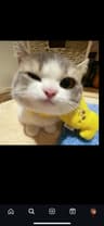 fifi24 user profile picture